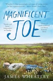 Magnificent Joe