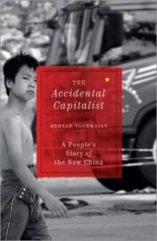 The accidental capitalist