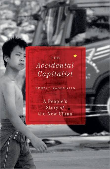 The accidental capitalist